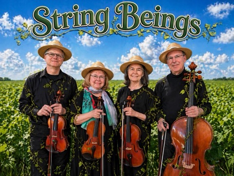 String Beings, four musicians in straw hats in a bean field